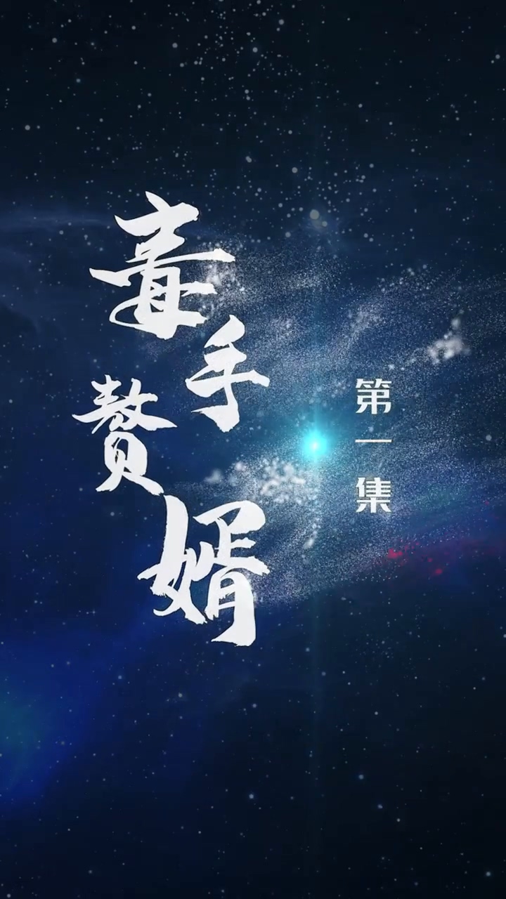 毒手赘婿 第04集