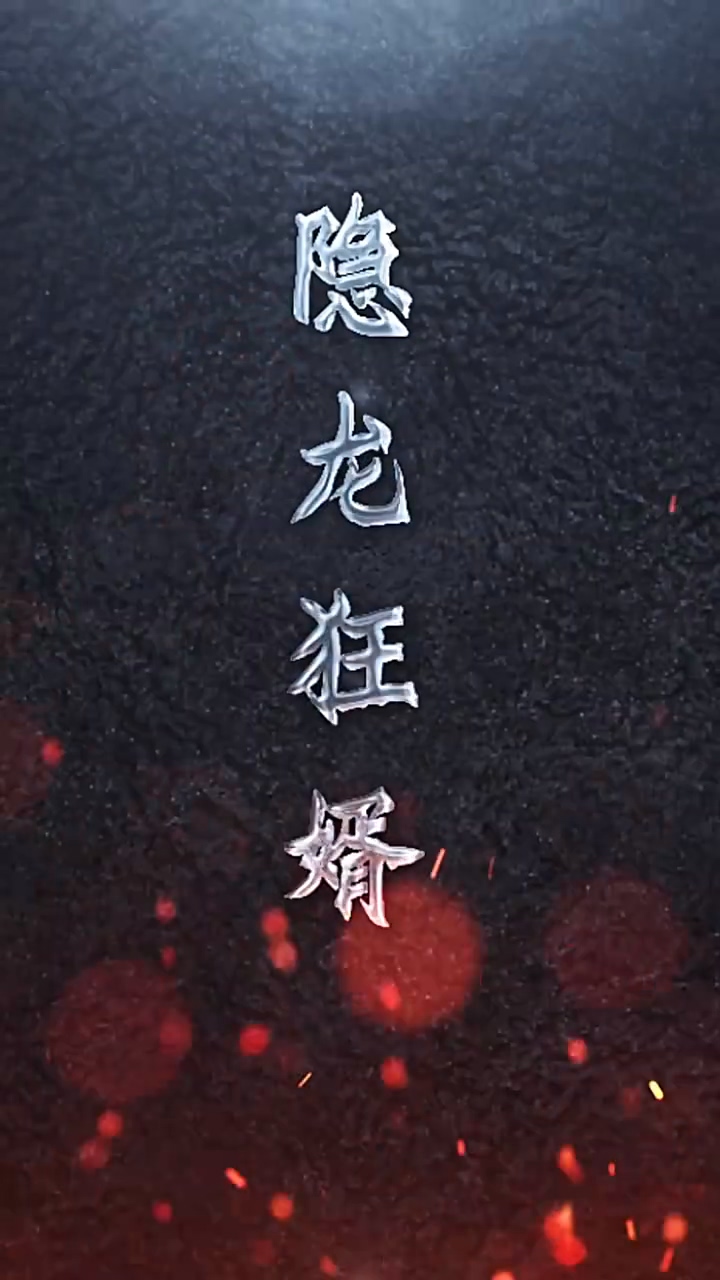 隐龙狂婿 第26集