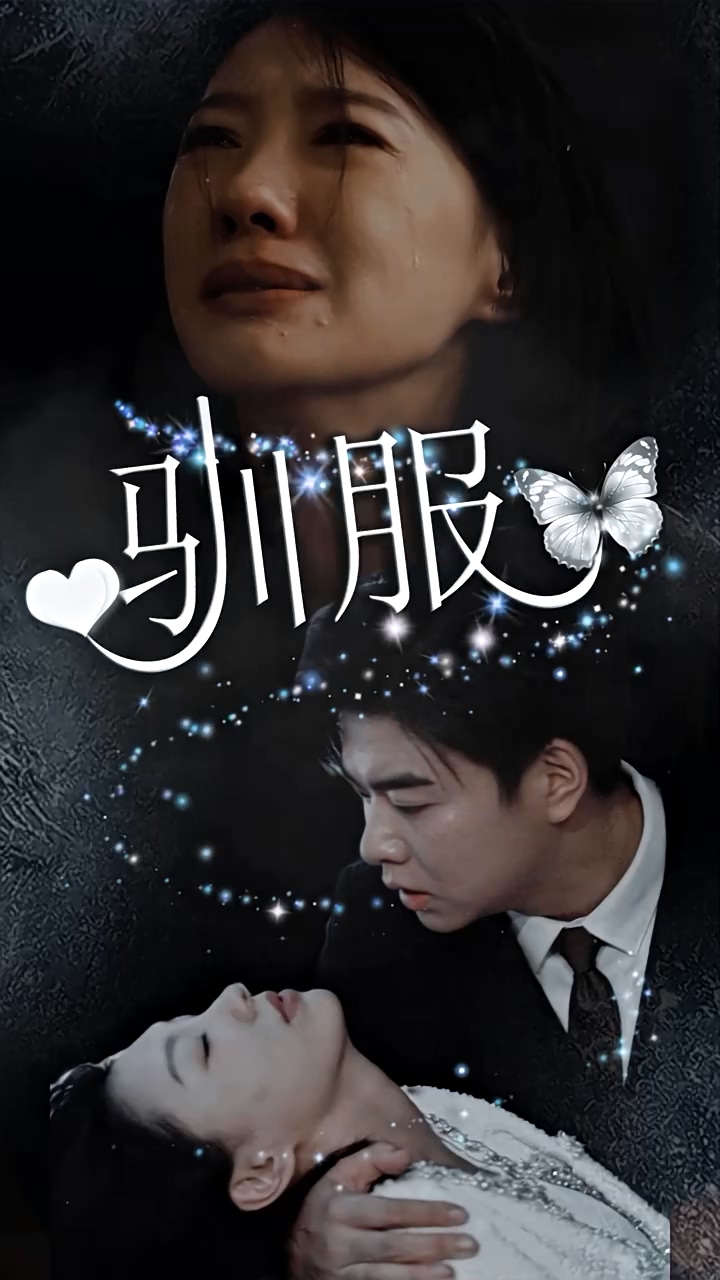 驯服 第17集