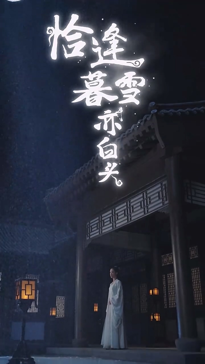 恰逢暮雪亦白头 第43集